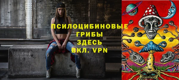 МДПВ Надым