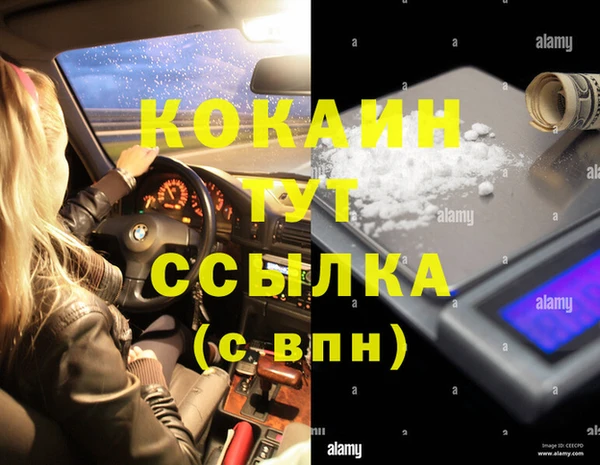 индика Навашино