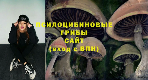 МДПВ Надым