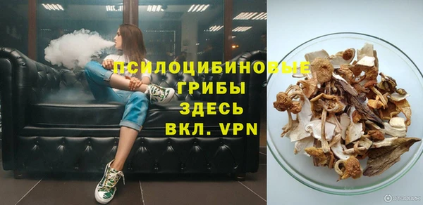 МДПВ Надым
