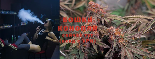 индика Навашино