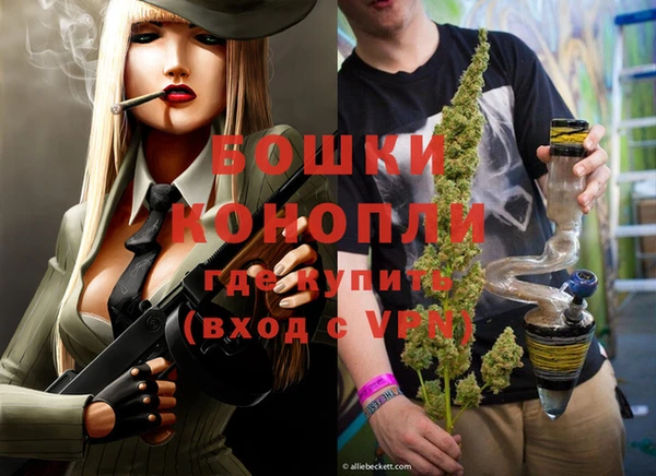 индика Навашино